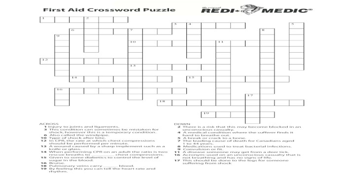 First aid crossword puzzle answer key