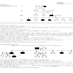 Helena's story pedigree answer key