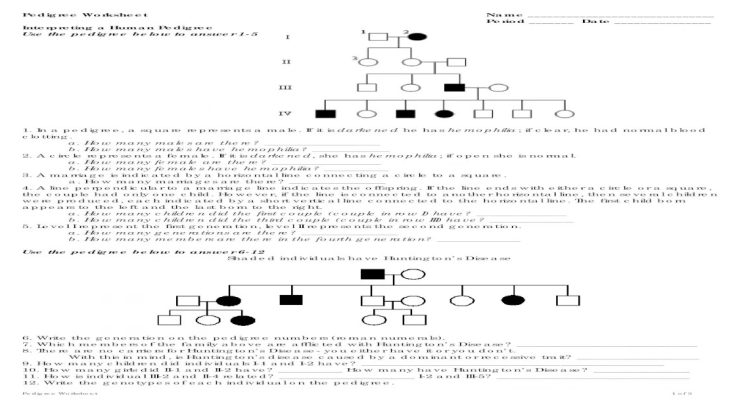 Helena's story pedigree answer key