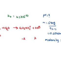 Amines and amides lab report