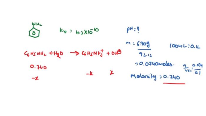 Amines and amides lab report