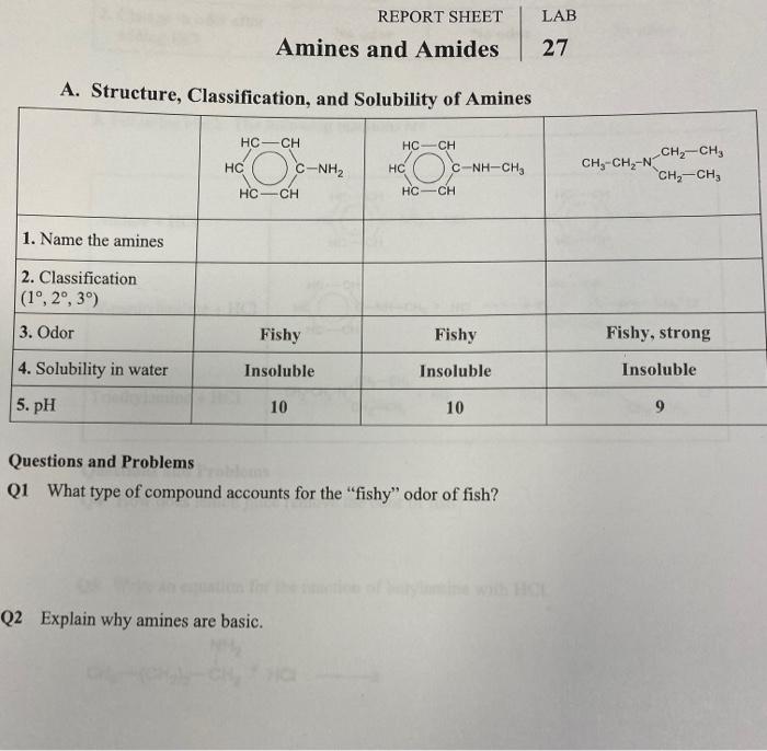 Amines and amides lab report