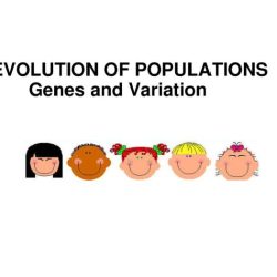 Section 16 1 genes and variation