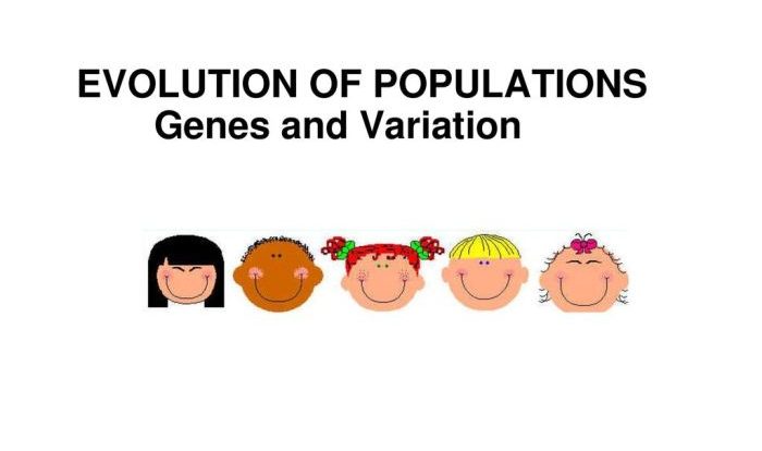 Section 16 1 genes and variation