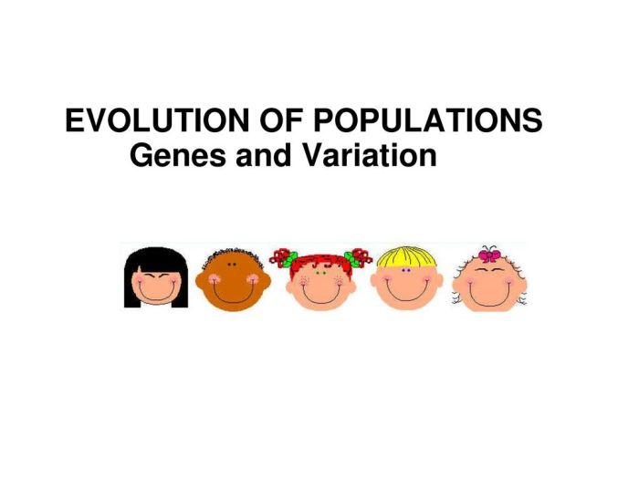 Section 16 1 genes and variation