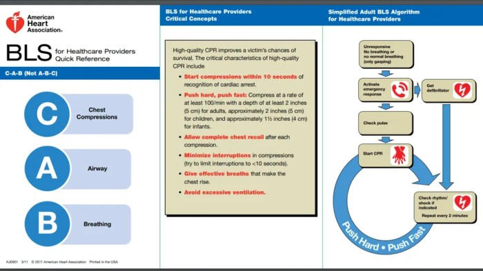 Acls questions and answers pdf