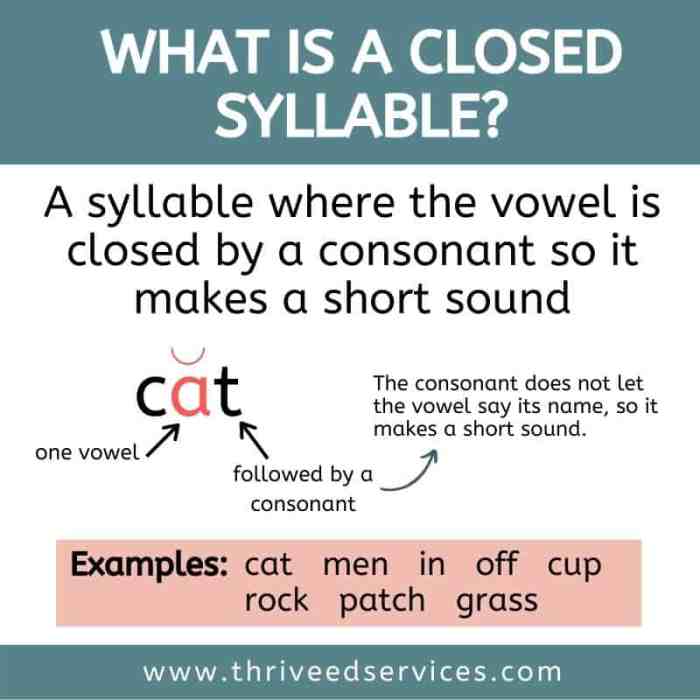 What are closed syllable exceptions