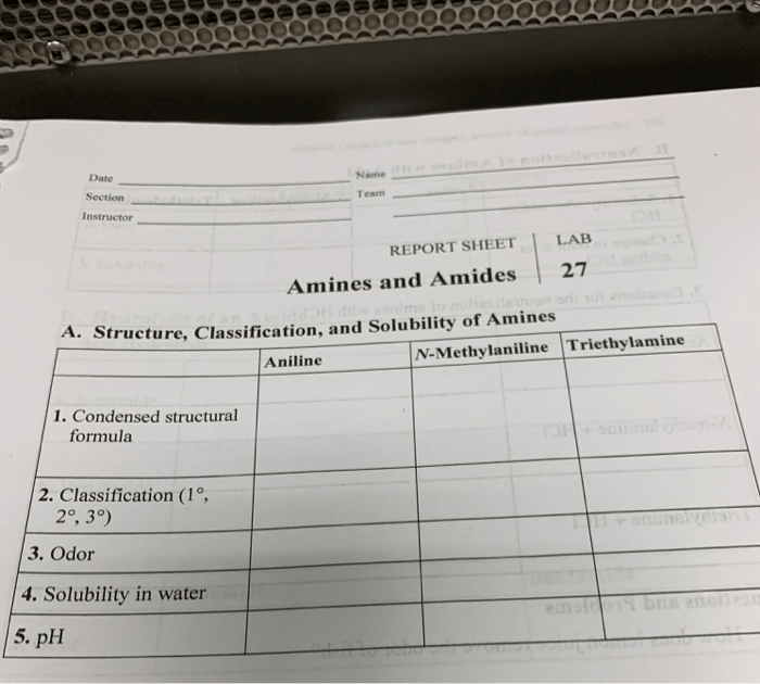 Amines and amides lab report