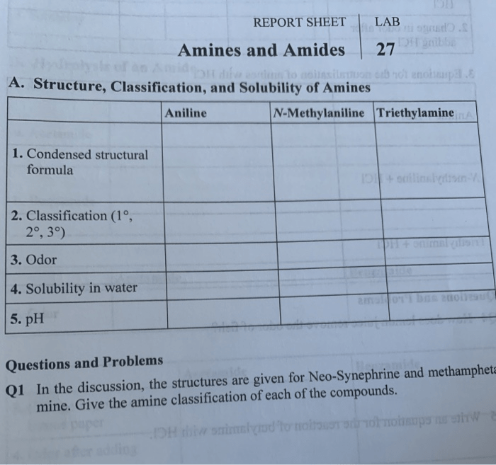 Amines and amides lab report