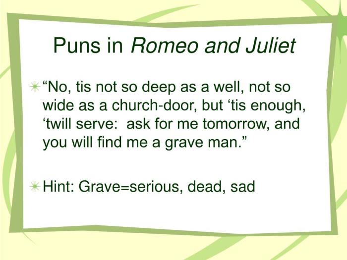 Examples of puns in romeo and juliet