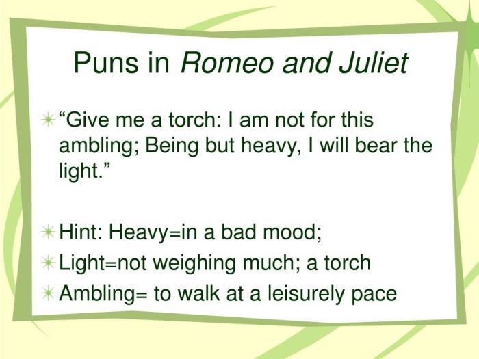 Examples of puns in romeo and juliet