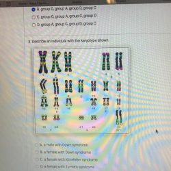 Describe an individual with the karyotype shown.