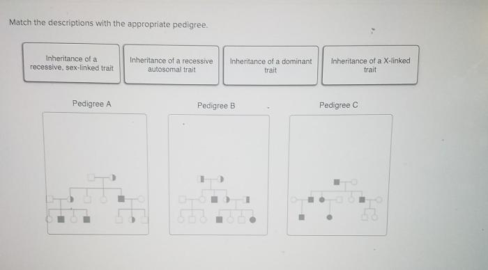 Match left drag drop terms right appropriate tissue descriptions epithelial exercise practice sheet review answers anatomy physiology help epithelium deep